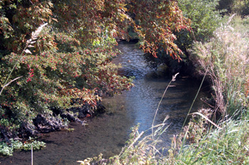 The River Lea at Wauluds Bank September 2009